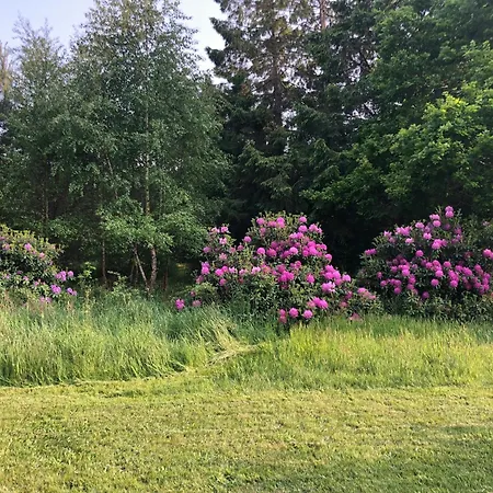 With Natural Garden In Skansehage Feriehus Rørvig